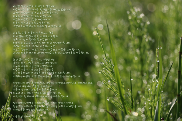 363d3f0d1d6c0f15207c1880e979b2c5_1646959032_0245.png