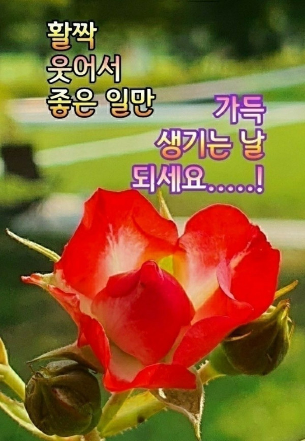43c1843d5ee4f2a411c0db5b2879fd10_1647561064_3556.jpg