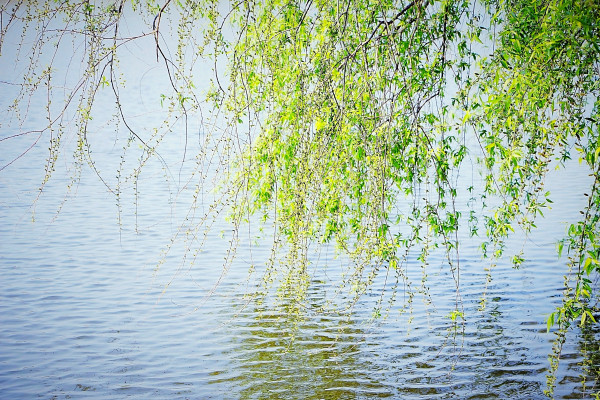 a0bf91e93d38e67d22513572df616c4a_1649329728_5832.jpg