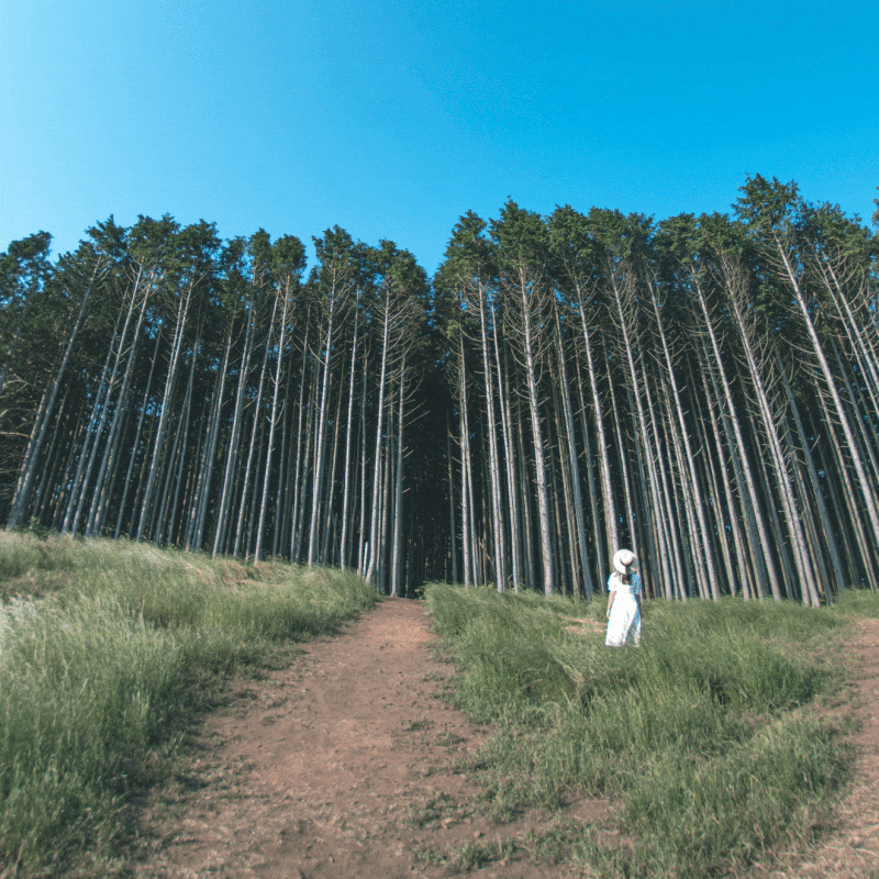 a3eb423786733fd35b004ef2ad15dcec_1652419704_7986.gif