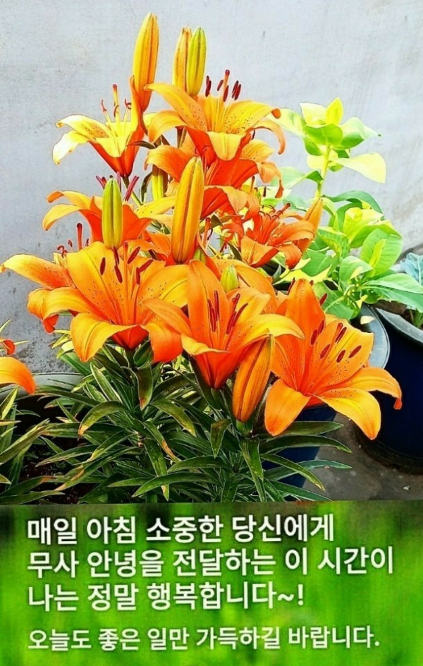67f0a7e32cd66449a68f34bb6e647dbf_1653260371_7637.jpg