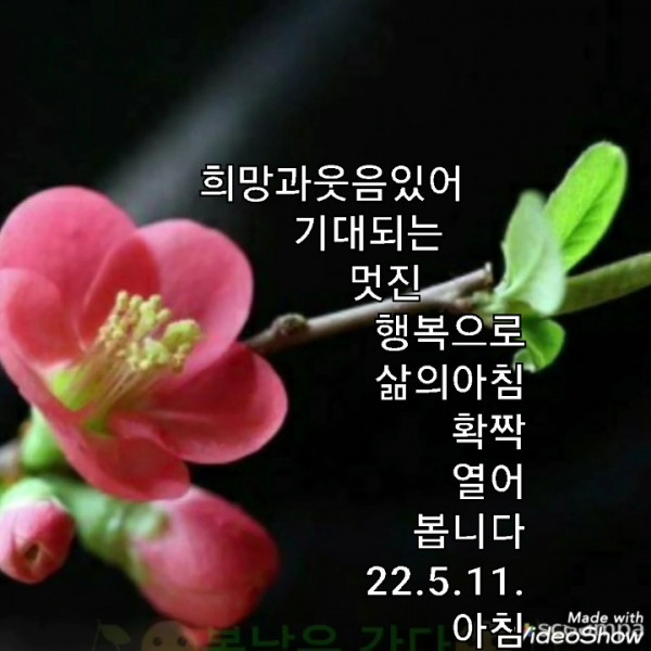 aa5b9952f4ea95a2c919cde8d0fe2598_1652220739_8833.jpg