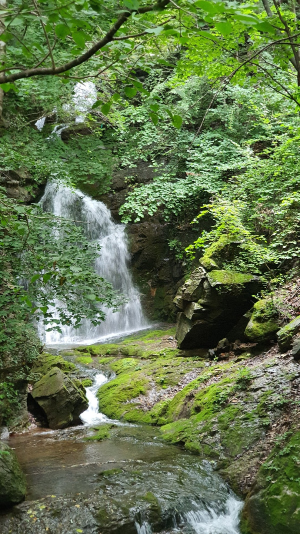 434f3fa3468428131bc08eacf22d1140_1660272762_4001.jpg