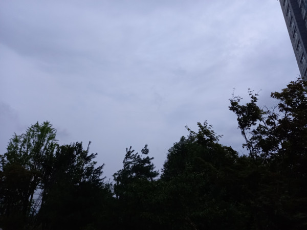 50629bcdbd3a11f660d746cb1707c981_1659919914_1983.jpg