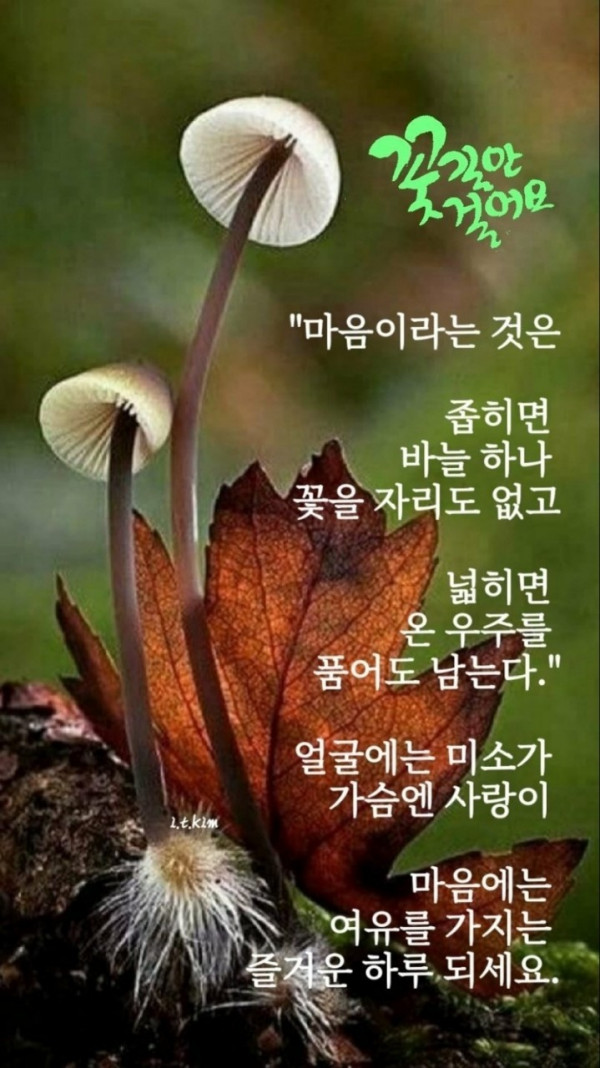 7928cf1ec390eb384043be1e31b6c780_1660262174_7376.jpg