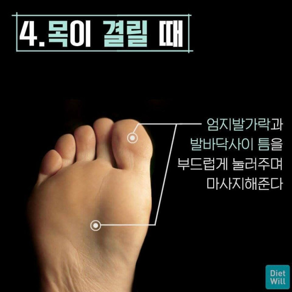 7e9a5521ad37ab5b18b5df14a9c41f95_1664104649_8113.jpg