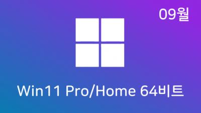 [09월] Win11 22H2(22621.521) Pro/Home 64비트 (모든 플랫폼 용)