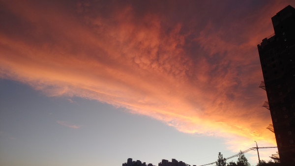 150774e043068fcde4c09e86df338b71_1666577939_2183.jpg