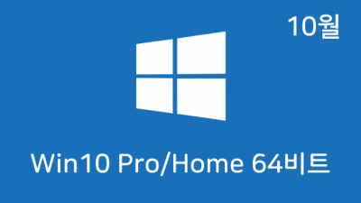 [10월] Win10 22H2(19045.2130) 4in1(Pro,Home) 64비트