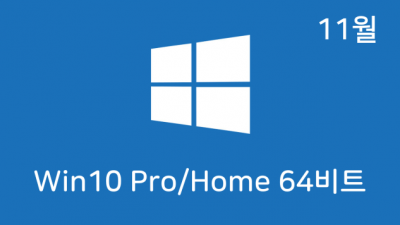 [11월] Win10 22H2(19045.2251) 4in1(Pro,Home) 64비트