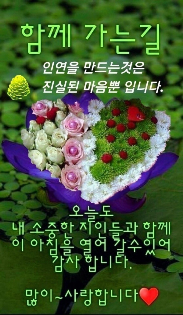 8148e1b3cf42ff51c30300323156d567_1668069874_6761.jpg