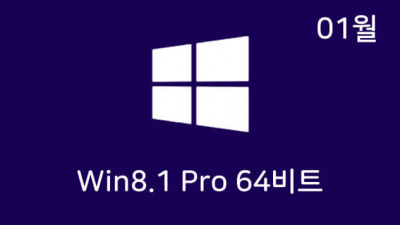 [재배포] Win8.1 Pro 64비트 Remiz
