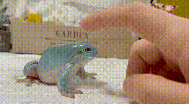 6d9bbc2ae71ef9f18f0806befd3f7563_1677359410_8242.gif