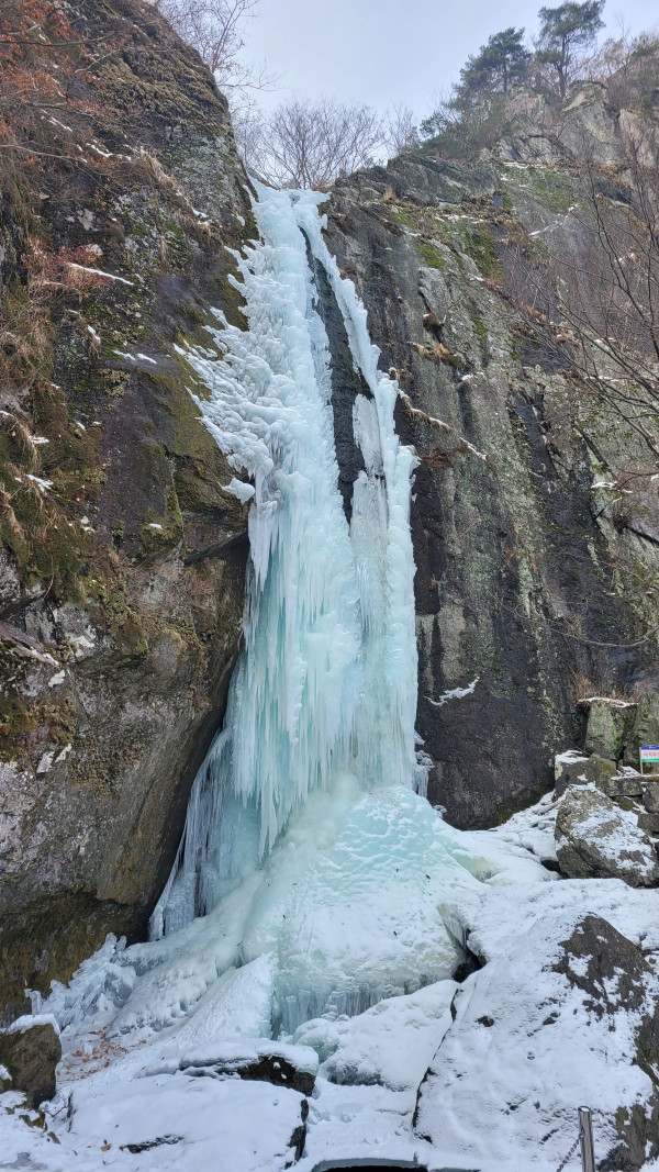 157fa889f0ea1b98654b5ede61ab4dff_1676163652_3667.jpg