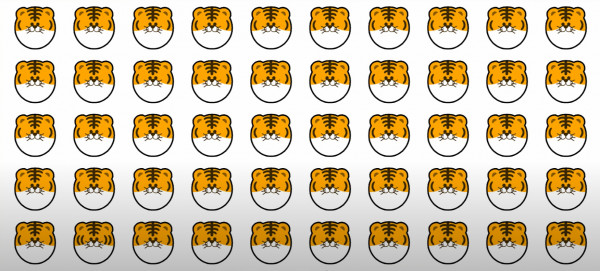 237268b7e794de72dd36062b6279ba05_1685415778_795.jpg