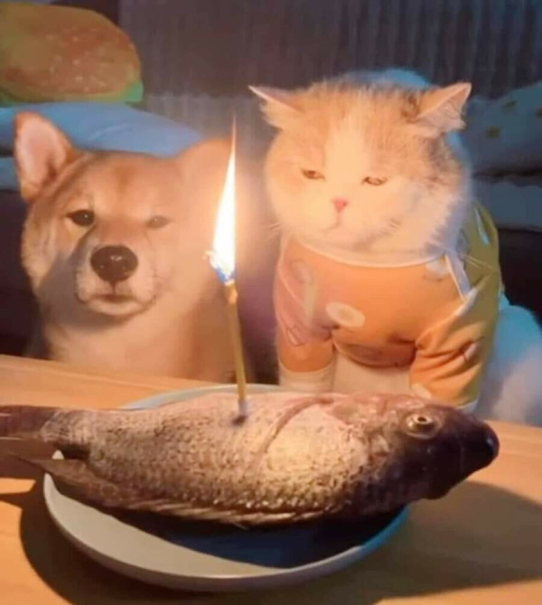 332e636c2b1e7b4d89125475a9841539_1687041720_3832.jpg