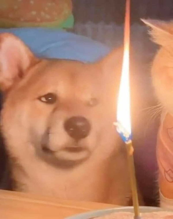 332e636c2b1e7b4d89125475a9841539_1687041730_1168.jpg