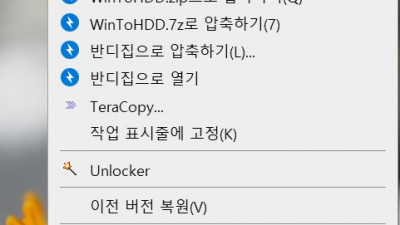 Win11_22H2(22621.1992)_4in1_x64_Remiz_23.07.15_WintoHDD 5.9 Portable Windows 설치