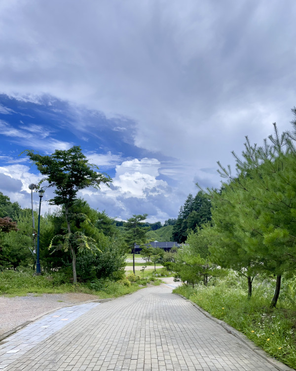 0b55d28a664322cf6b384533335e0773_1689822198_1211.jpeg