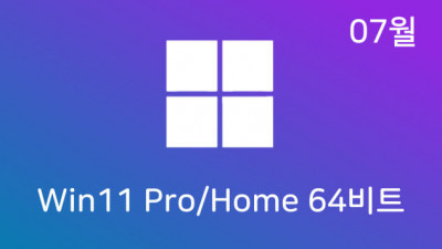 [07월] Win11 22H2(22621.1992) Pro/Home 64비트 (모든 플랫폼 용)