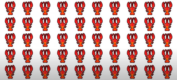 04cccd1d5d8746029e914cad2e6e2f5b_1692605859_5192.jpg
