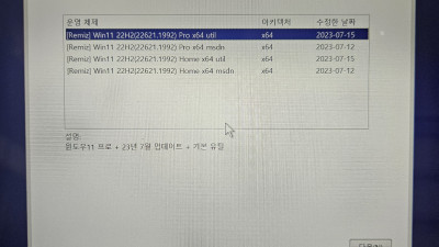 레미쯔님 Win11 22H2(22621.1992) Pro/Home 64비트 설치 후기