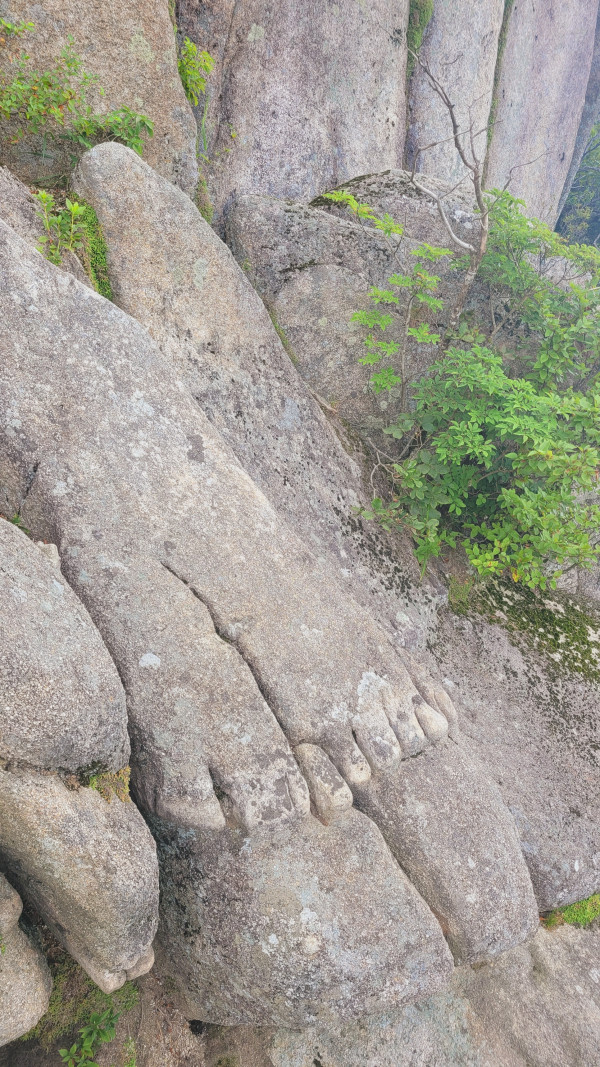 9091b9c642d32262cb6da871a00dc16e_1691244013_8598.jpg