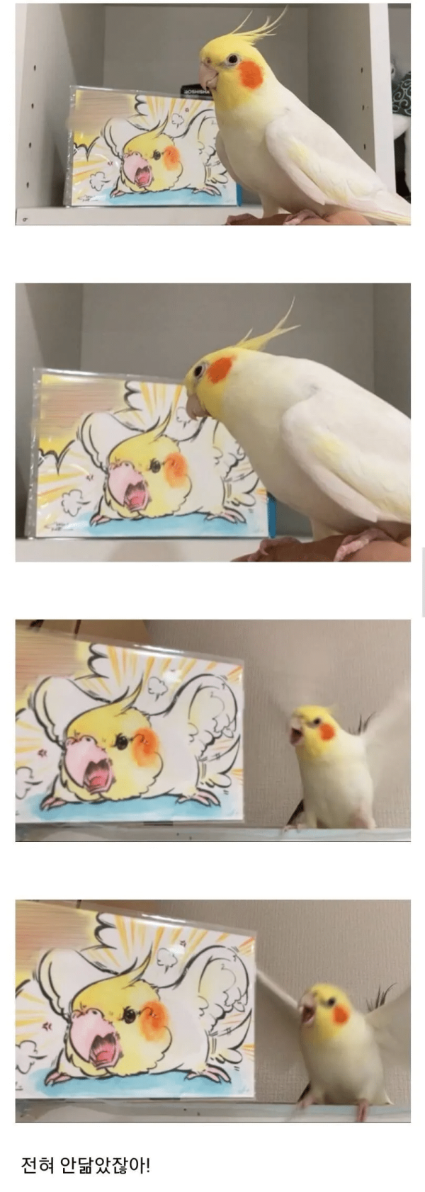 3a218eacdae0d421f771ae26bcd12804_1694798450_13.png