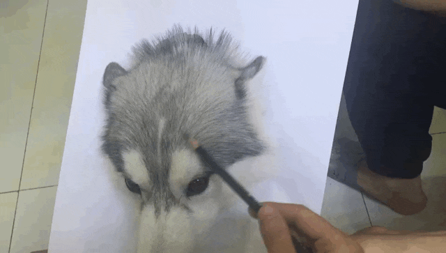 bbeba9f694924854c6724f105a36e7ab_1697109672_9762.gif