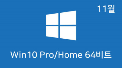 [11월] Win10 22H2(19045.3693) 4in1(Pro,Home) 64비트