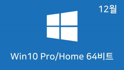 [12월] Win10 22H2(19045.3803) 4in1(Pro,Home) 64비트