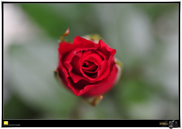 1adbb8666e140a815e6c46b9b4f84be9_1704327025_9234.jpg