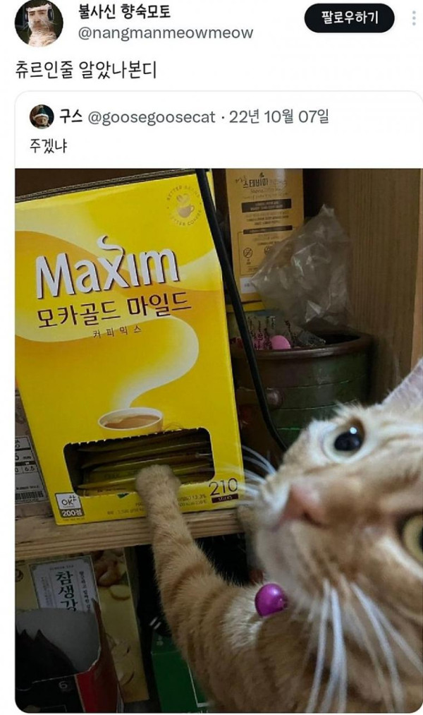 0ac7b01034094df7a0921b80c2866a4f_1709840807_7841.jpeg