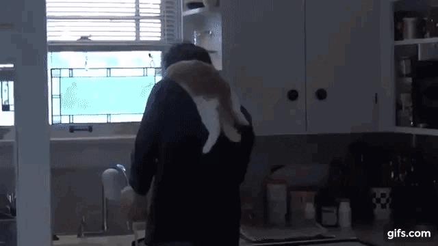 d9c4bed27668e01bf1a799321d1f449c_1715545807_7004.gif
