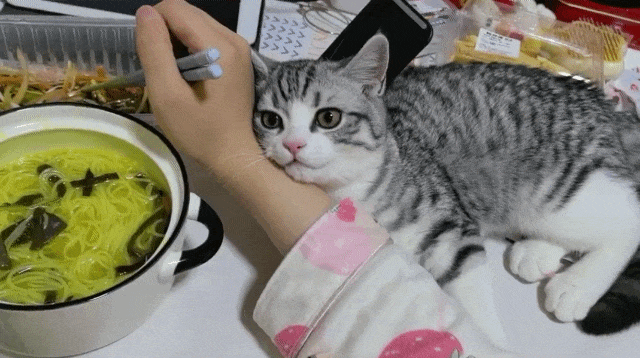 93f6b6015bbcaa7cc7c80412390bf6e1_1717695072_8951.gif