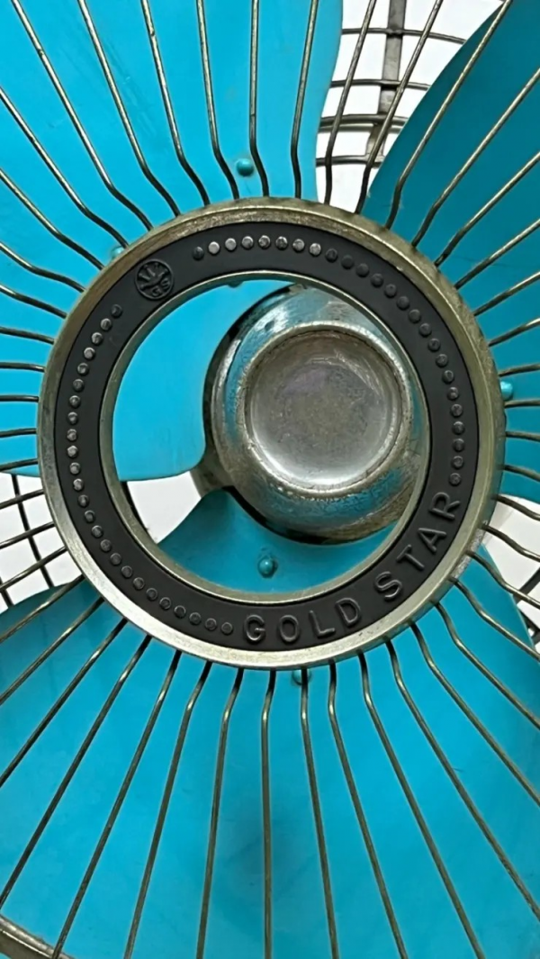 365e71d7122db6539b2a03daa3f0a2d9_1719454613_1725.png