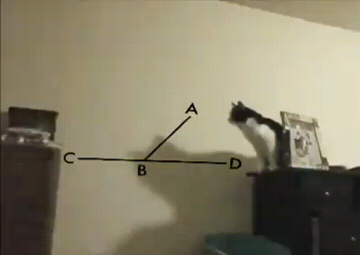 fe56cab48d611ddf831994173d9bcff3_1720025181_7212.gif