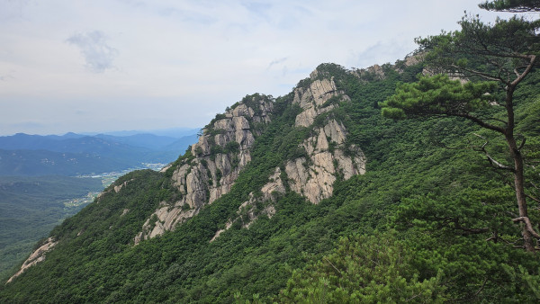 f54112250ae34a07e629d3cae05dbfa4_1720309601_0572.jpg