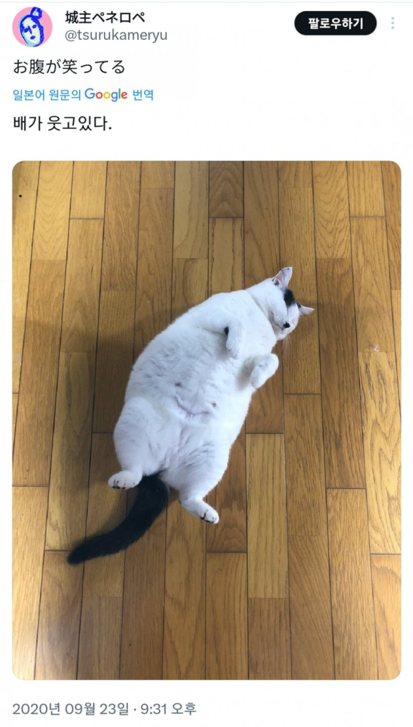 67dd7af4cf00c.png