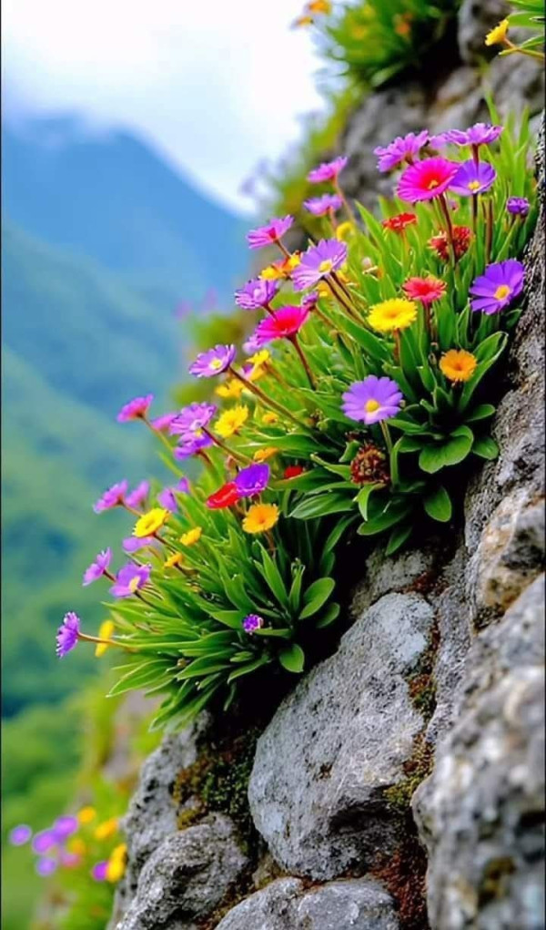 8344f537e0729b77850423aa2dc449fe_1742987758_1781.jpg
