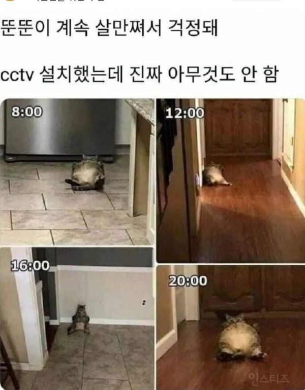 a11a5737ea3d3e7492ab4d89a936f623_1743190862_4487.jpg