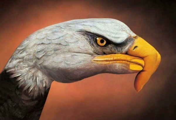 e15a686b462fa4dc234e9df7c2f03861_1743330728_7685.jpg