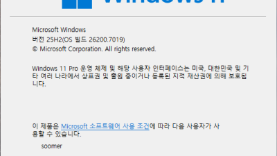 Win11 25H2(26200.6899) Pro 잘 설치하였습니다.